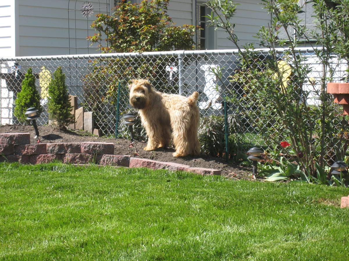 Checking out the neighbors