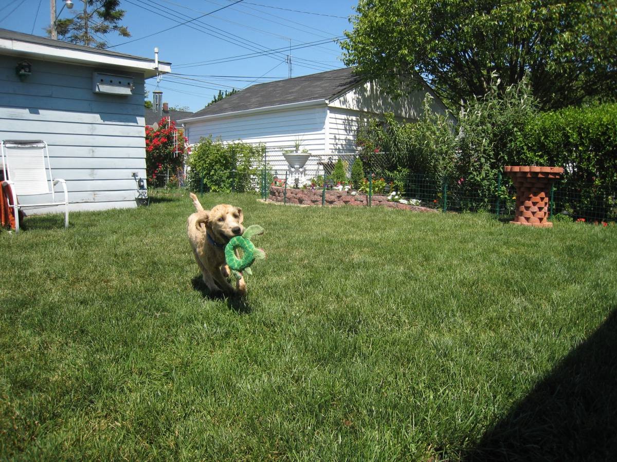 With my favorite toy - and a new haircut